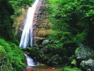 【江苏自组班】湖南张家界国家森林公园+魅力湘西晚会+天门山+凤凰古城双飞日游