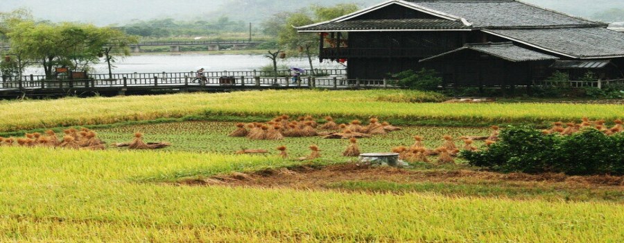 和田地区