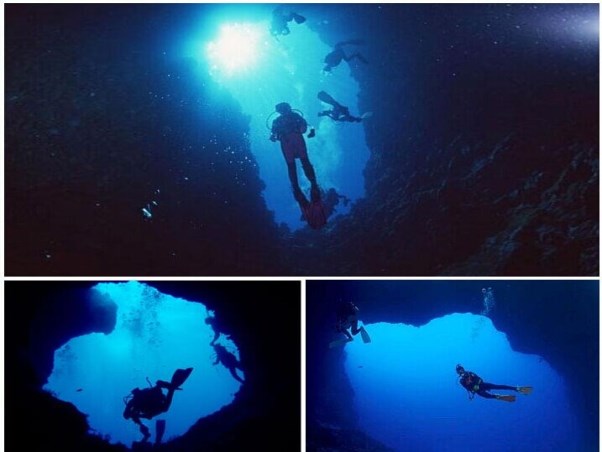 蓝角潜水