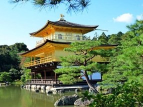 【轻奢本州】日本+本州半自助6日游（升级一晚温泉酒店+东京一天自由活动）
