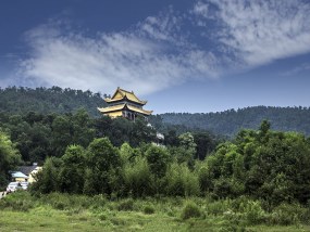 溧水天生桥-傅家边梅园赏梅花-草莓采摘纯玩一日游