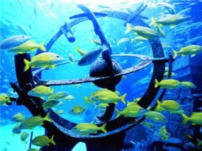 【亲子总动员】 海南-海口双飞6日游（南京直飞+独家小岛厨房）