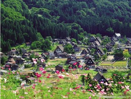 南京出发日本+东京+富士山+奈良+大阪本州半自助有马温泉6日游