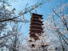 南京牛首山+美丽乡村+秣陵杏花村一日游